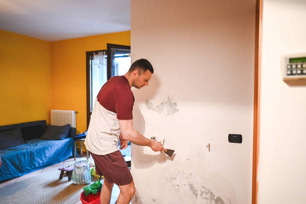 Best Residential Mold Removal  in Cliffside Park, NJ